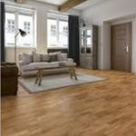Séjour moderne avec parquet chaleureux